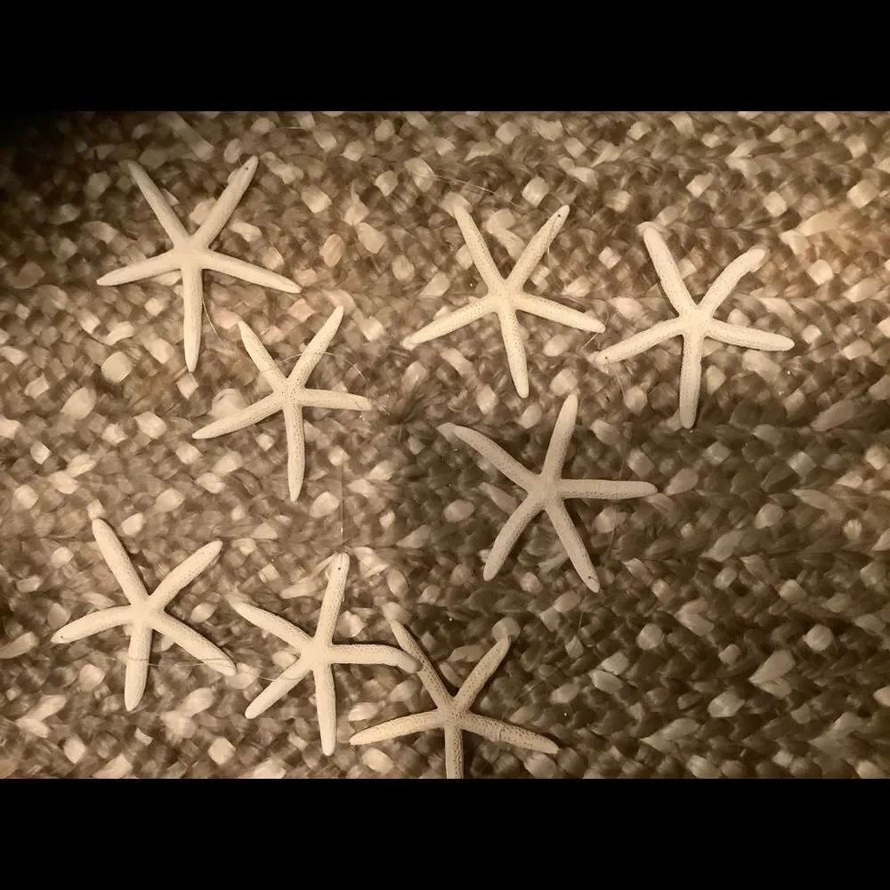 Starfish garland